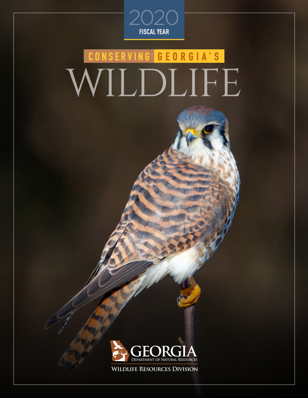 Conserving Georgia's Wildlife in 2020 | Department Of Natural Resources